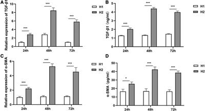 Hyperoxia exposure promotes endothelial–mesenchymal transition and inhibits regulatory T cell function in human pulmonary microvascular endothelial cells